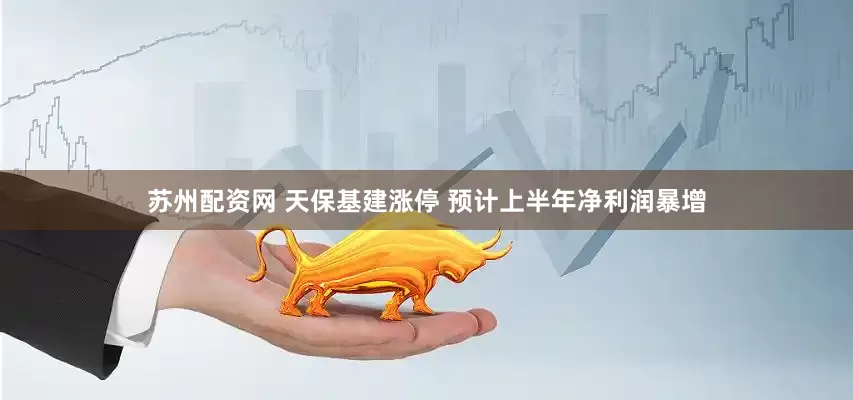 苏州配资网 天保基建涨停 预计上半年净利润暴增