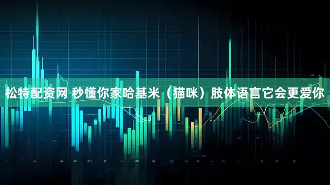 松特配资网 秒懂你家哈基米（猫咪）肢体语言它会更爱你