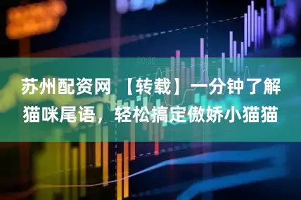 苏州配资网 【转载】一分钟了解猫咪尾语，轻松搞定傲娇小猫猫