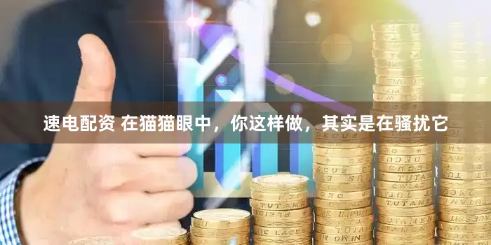速电配资 在猫猫眼中，你这样做，其实是在骚扰它