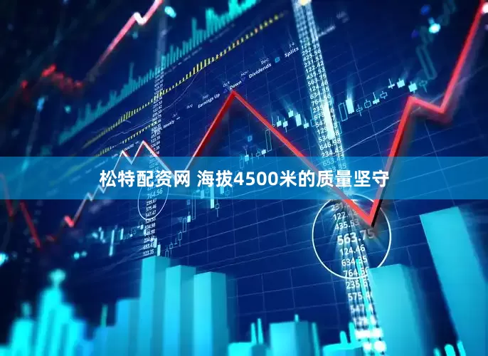松特配资网 海拔4500米的质量坚守