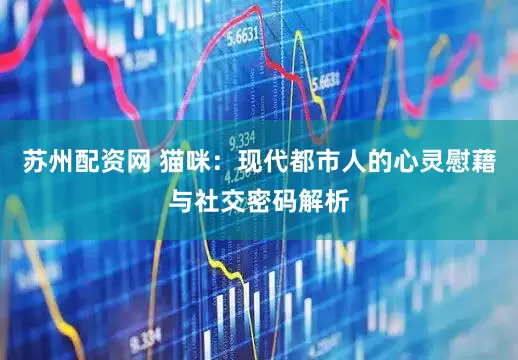 苏州配资网 猫咪：现代都市人的心灵慰藉与社交密码解析